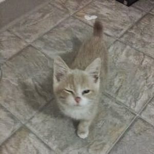 Meet your Posher, Jory